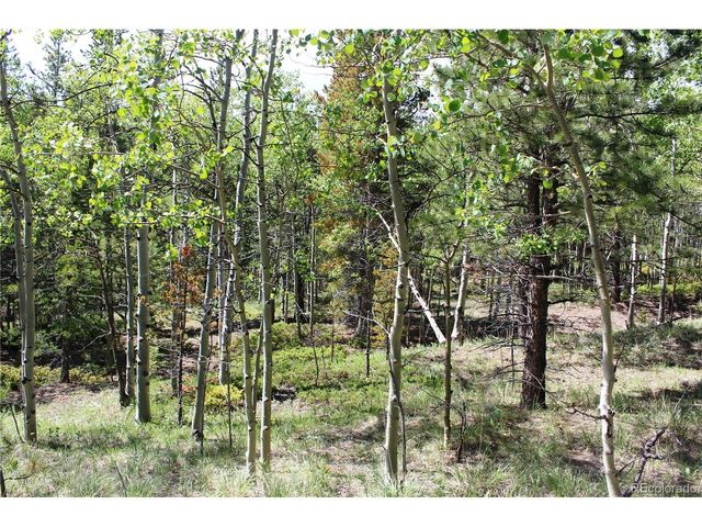 6050 Virginia Canyon Rd, Central City, CO 80427