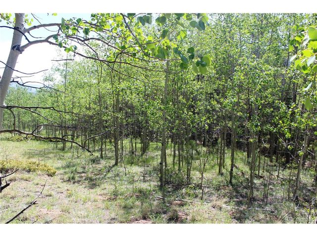6050 Virginia Canyon Rd, Central City, CO 80427