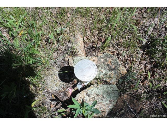 6050 Virginia Canyon Rd, Central City, CO 80427