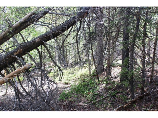 6050 Virginia Canyon Rd, Central City, CO 80427