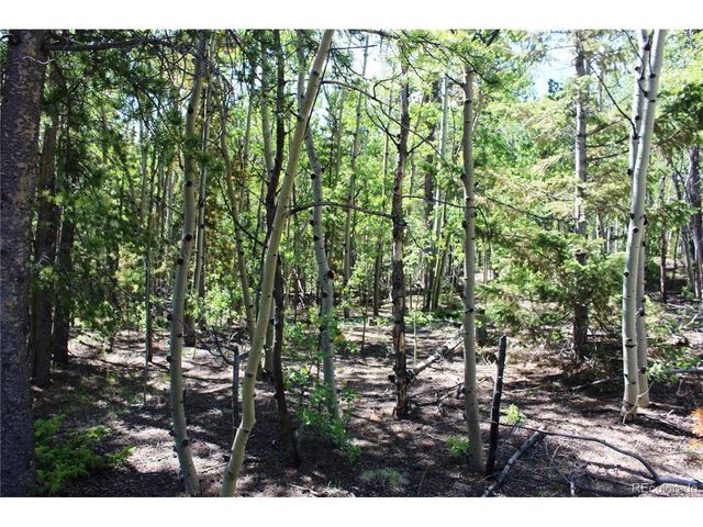 6050 Virginia Canyon Rd, Central City, CO 80427