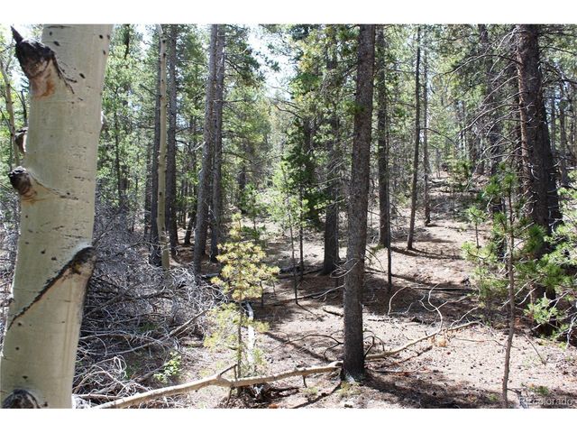 6050 Virginia Canyon Rd, Central City, CO 80427