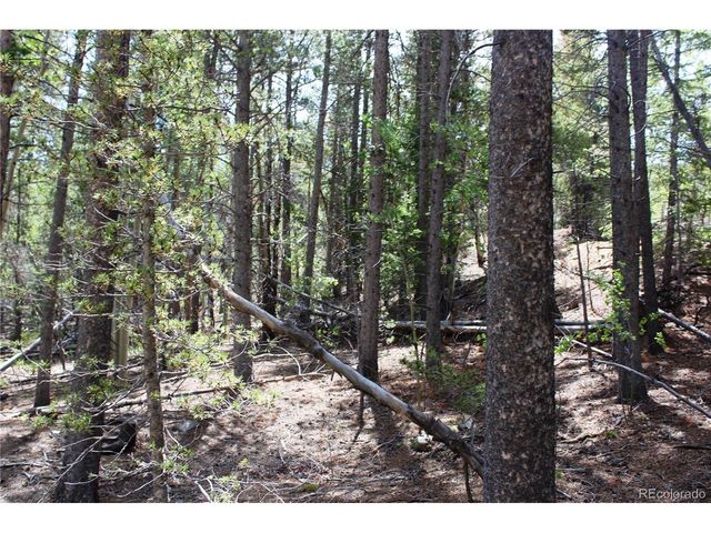 6050 Virginia Canyon Rd, Central City, CO 80427