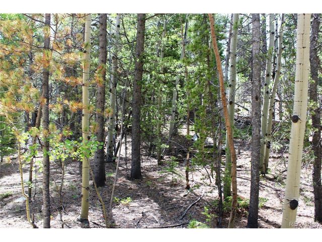 6050 Virginia Canyon Rd, Central City, CO 80427