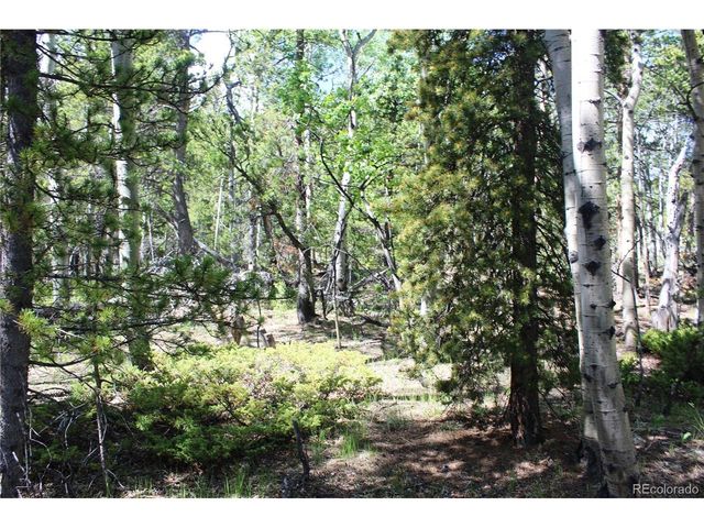 6050 Virginia Canyon Rd, Central City, CO 80427