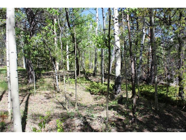 6050 Virginia Canyon Rd, Central City, CO 80427