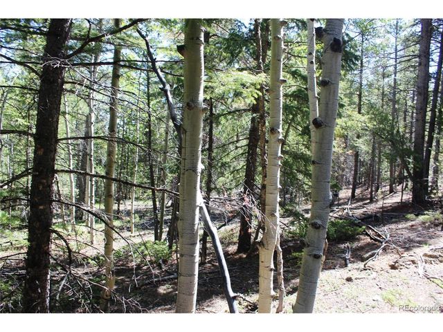 6050 Virginia Canyon Rd, Central City, CO 80427