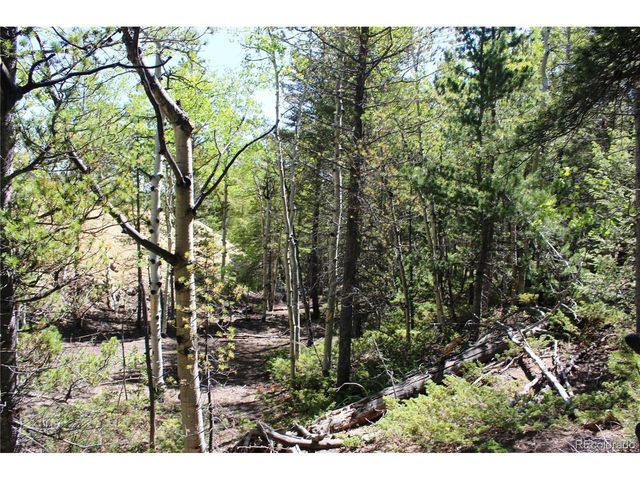 6050 Virginia Canyon Rd, Central City, CO 80427