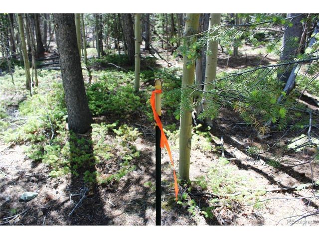 6050 Virginia Canyon Rd, Central City, CO 80427