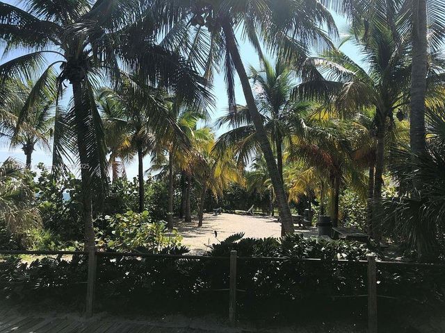 881 Ocean Dr TH11, Key Biscayne, FL 33149