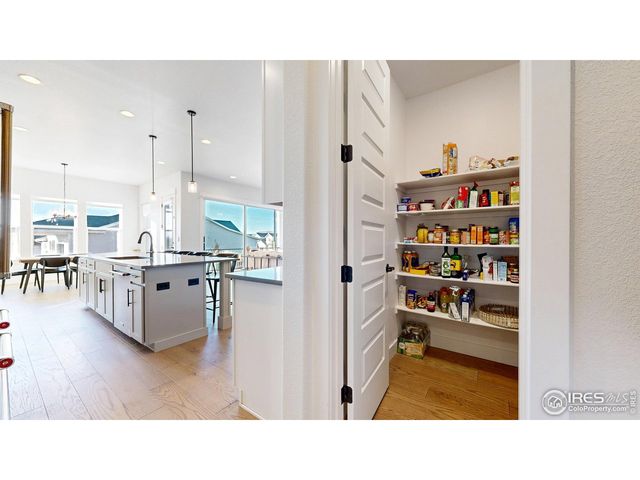 1746 Abundance Dr, Windsor, CO 80550