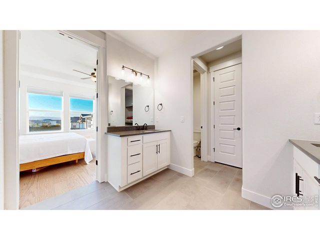 1746 Abundance Dr, Windsor, CO 80550