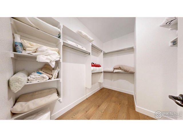 1746 Abundance Dr, Windsor, CO 80550