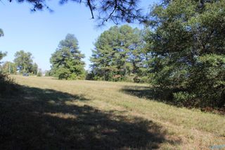 Lot 1 Mooresville Road, Elkmont, AL 35620