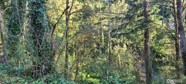 1317 Wildwood Boulevard SW, Issaquah, WA 98027