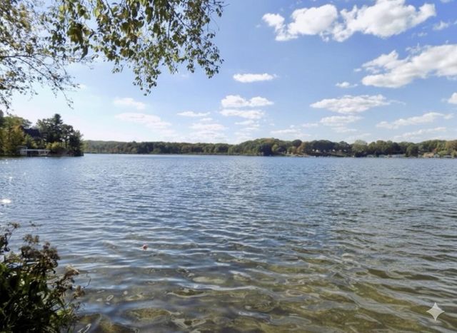 10780 Round Lake Drive, Mecosta, MI 49332