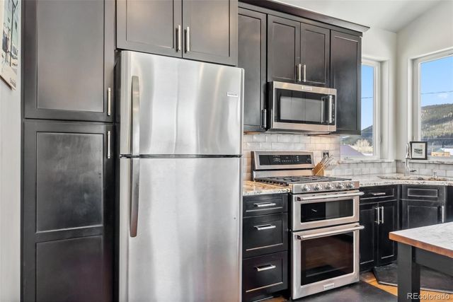 255 Flannigan Circle, Alma, CO 80420