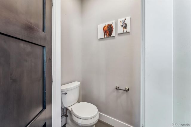 255 Flannigan Circle, Alma, CO 80420