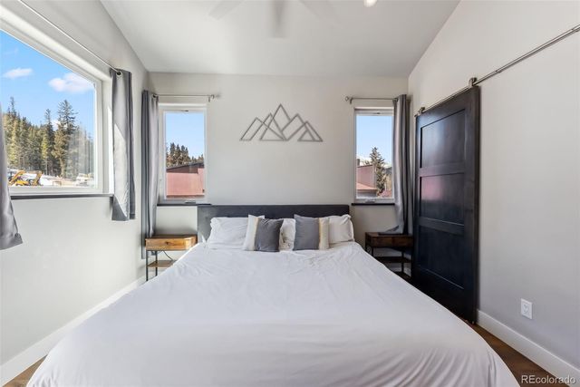 255 Flannigan Circle, Alma, CO 80420