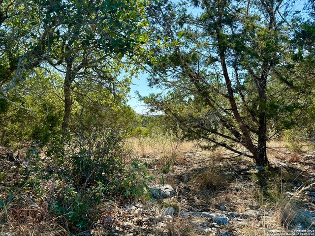 3938 Running Spgs, San Antonio, TX 78261