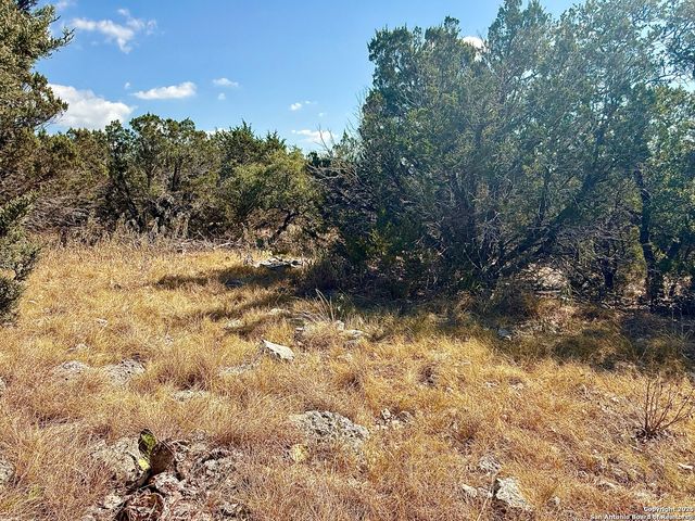 3938 Running Spgs, San Antonio, TX 78261