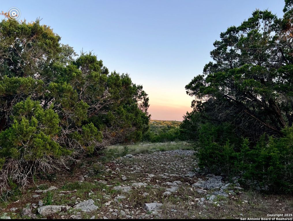 3938 Running Spgs, San Antonio, TX 78261