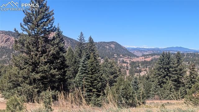 1960 Troy Drive, Cripple Creek, CO 80813
