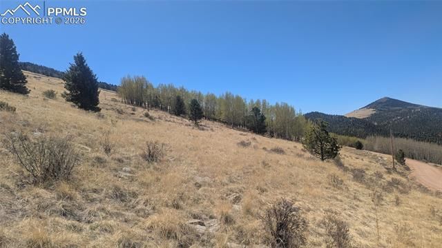 1960 Troy Drive, Cripple Creek, CO 80813