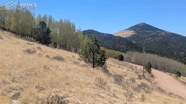 1960 Troy Drive, Cripple Creek, CO 80813