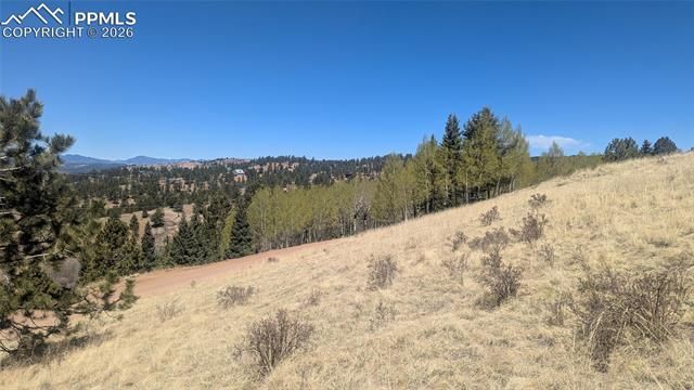 1960 Troy Drive, Cripple Creek, CO 80813