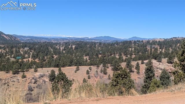 1960 Troy Drive, Cripple Creek, CO 80813