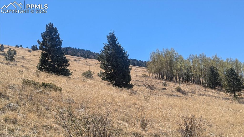 1960 Troy Drive, Cripple Creek, CO 80813
