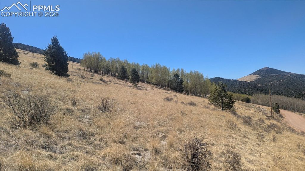 1960 Troy Drive, Cripple Creek, CO 80813 — photo 2