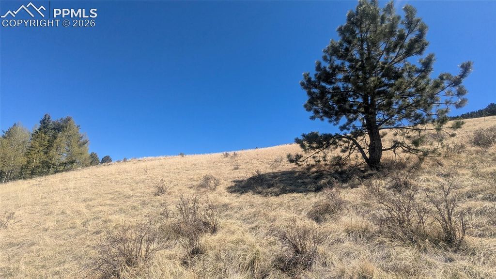 1960 Troy Drive, Cripple Creek, CO 80813 — photo 3