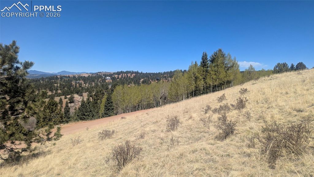 1960 Troy Drive, Cripple Creek, CO 80813 — photo 5