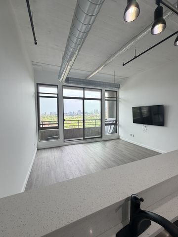 1550 S Blue Island Avenue 1107, Chicago, IL 60608