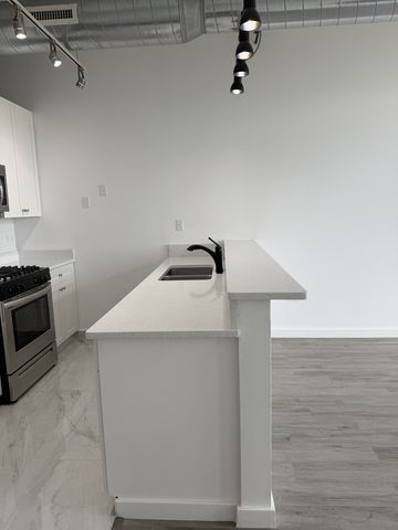 1550 S Blue Island Avenue 1107, Chicago, IL 60608