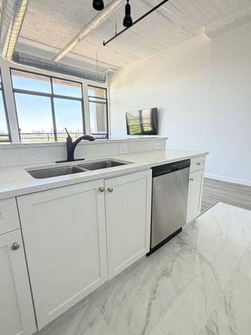 1550 S Blue Island Avenue 1107, Chicago, IL 60608