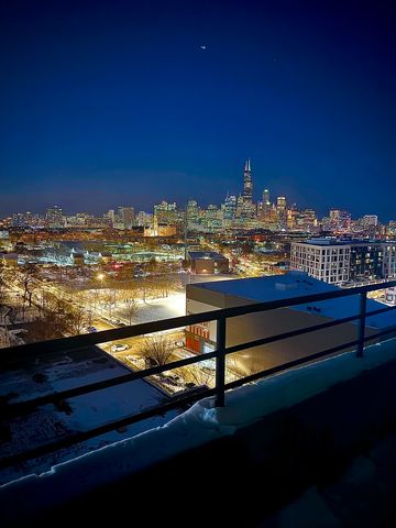 1550 S Blue Island Avenue 1107, Chicago, IL 60608