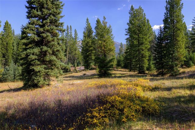 208 Outlook Trail, Big Sky, MT 58716