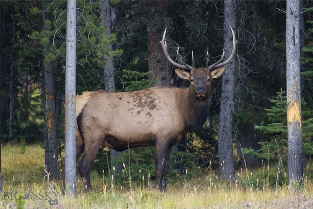 208 Outlook Trail, Big Sky, MT 58716