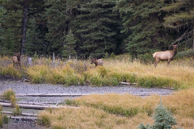 208 Outlook Trail, Big Sky, MT 58716