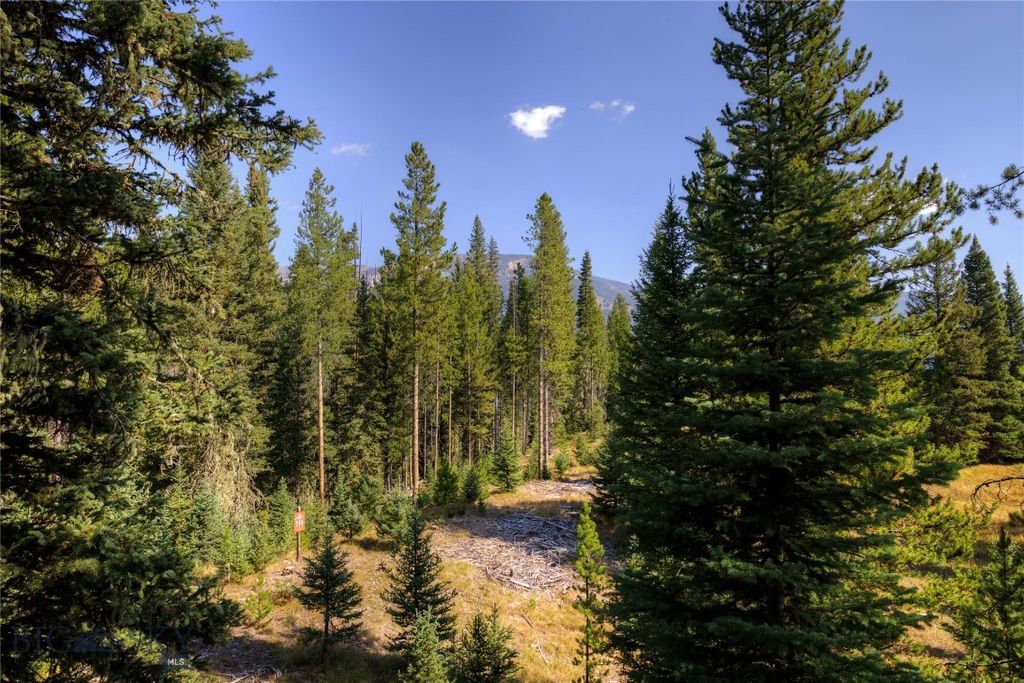 208 Outlook Trail, Big Sky, MT 58716 photo 14