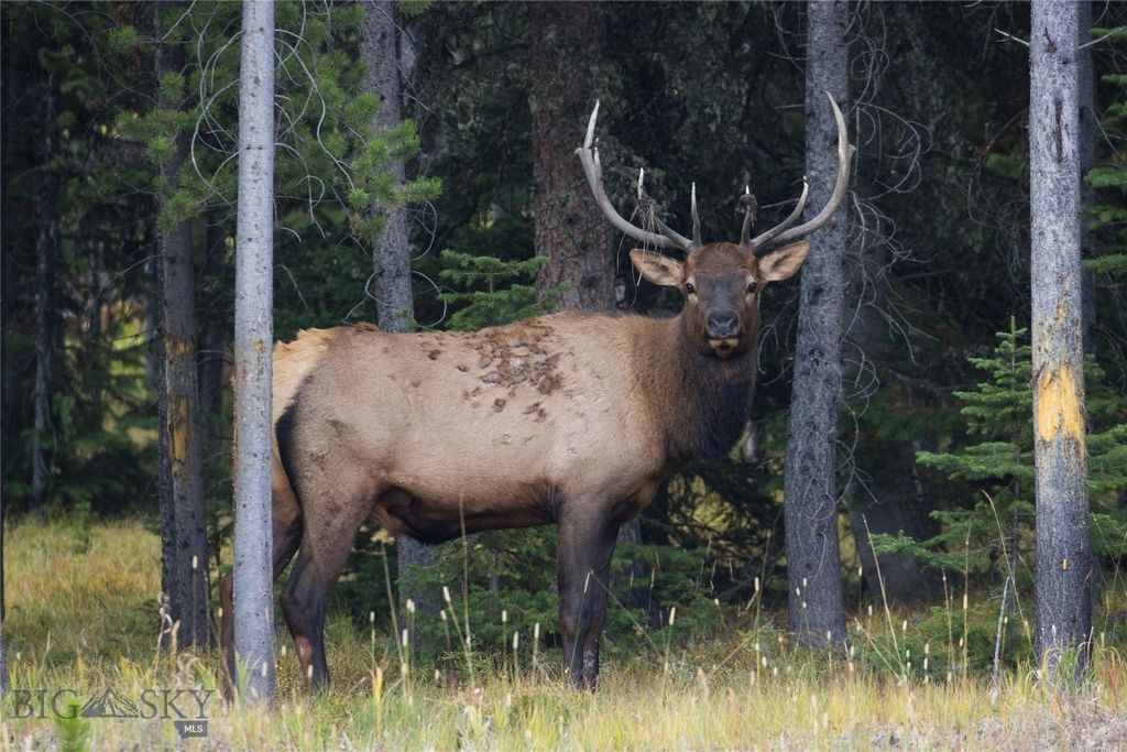 208 Outlook Trail, Big Sky, MT 58716 photo 18