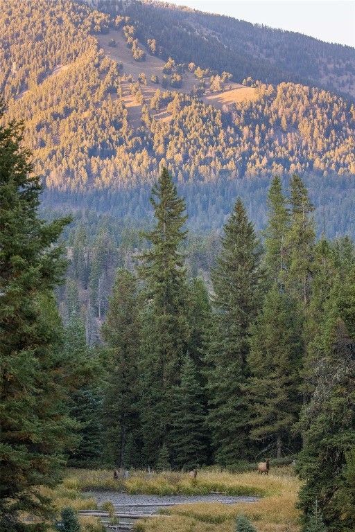 208 Outlook Trail, Big Sky, MT 58716 photo 20