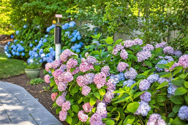 15 Shattuck Place UNIT 15, Chatham, MA 02633
