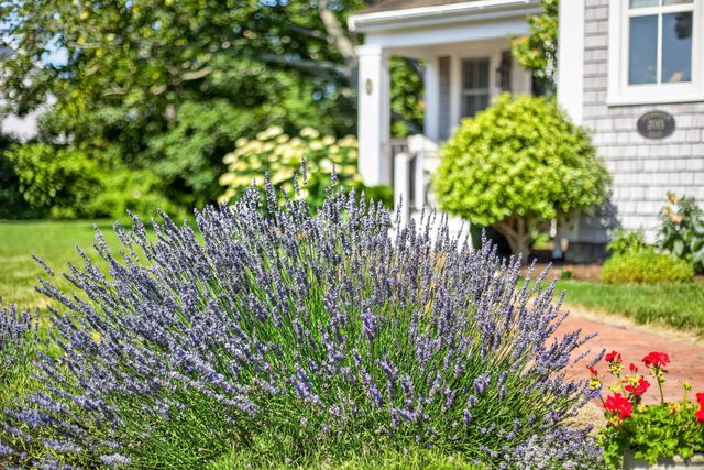15 Shattuck Place UNIT 15, Chatham, MA 02633