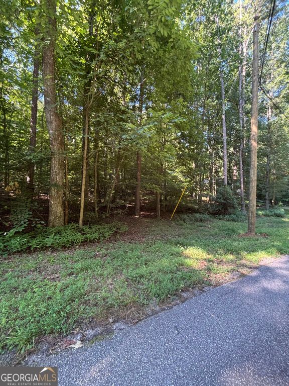 0 Chateau Drive A-105, Lavonia, GA 30553 — exterior