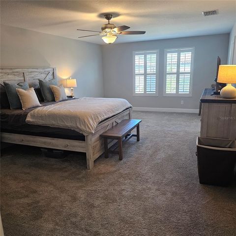 3934 MAURICE AVENUE, Odessa, FL 33556