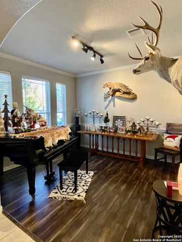 3618 Globe Willow, San Antonio, TX 78261